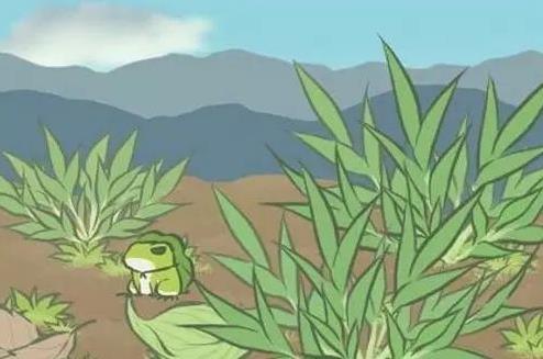 旅行青蛙home鍵刷三葉草方法一覽 該怎么用home鍵刷三葉草？