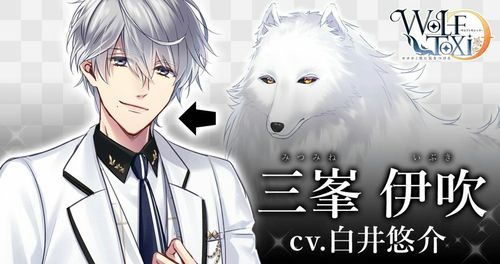 WolfToxic-小心狼男-