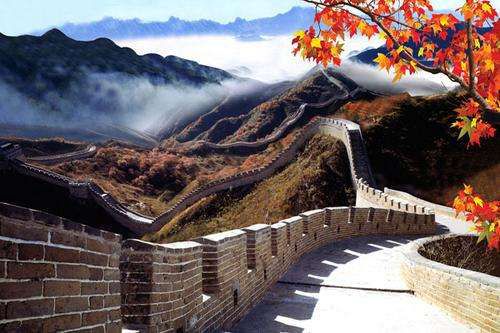 旅行青蛙