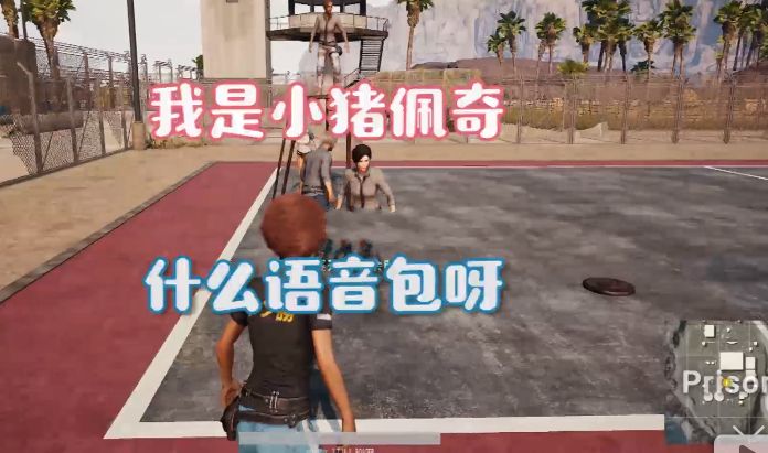 小豬佩奇吃雞語(yǔ)音包模擬器完整版文件下載截圖3