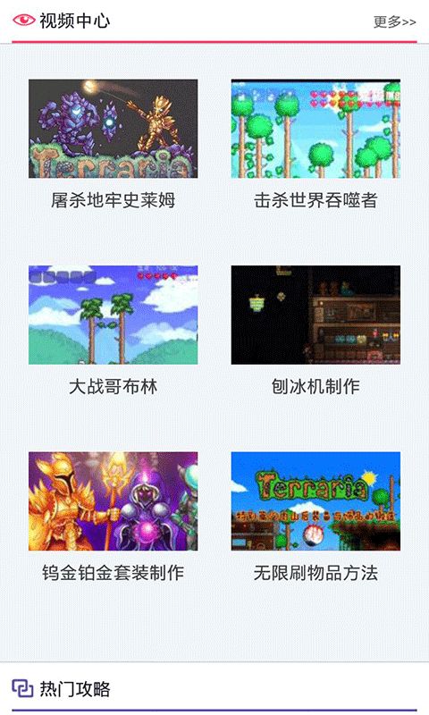 泰拉瑞亞盒子助手正版下載最新版截圖3
