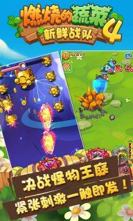 燃燒的蔬菜4安卓版游戲下載截圖3