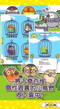 抓小鳥游戲手機(jī)版下載截圖3