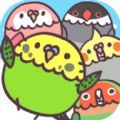 抓小鳥游戲手機(jī)版下載