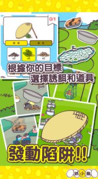抓小鳥游戲手機(jī)版下載截圖4
