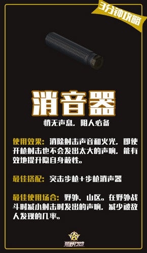 荒野行動(dòng)消音器