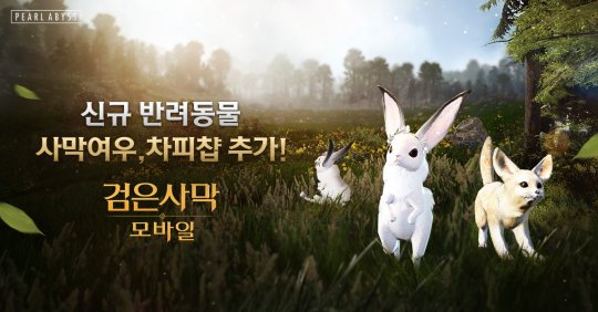 最新圖片