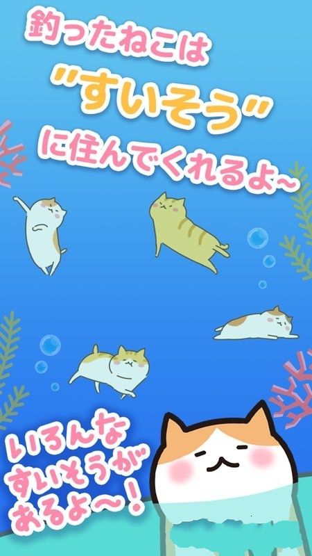 貓咪垂釣手機游戲最新正版下載截圖1