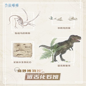 奇跡暖暖全新博物館玩法遠(yuǎn)古化石館 奇跡暖暖全新博物館玩法攻略
