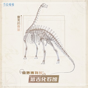 奇跡暖暖全新博物館玩法遠(yuǎn)古化石館 奇跡暖暖全新博物館玩法攻略