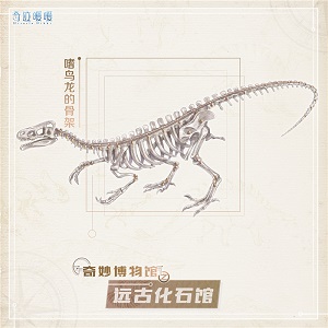 奇跡暖暖全新博物館玩法遠(yuǎn)古化石館 奇跡暖暖全新博物館玩法攻略
