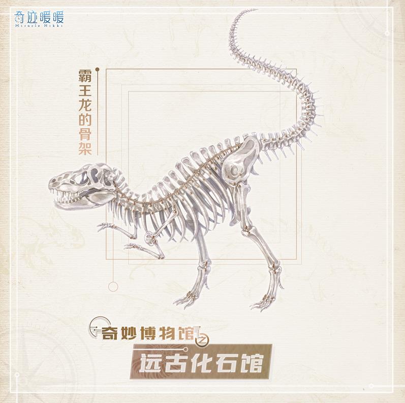 奇跡暖暖琥珀化石該怎么獲得？琥珀化石有什么用？