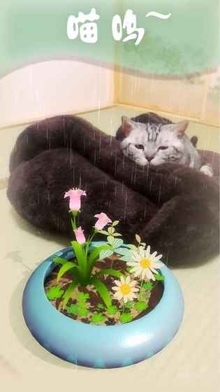 拾花游戲正版地址截圖4