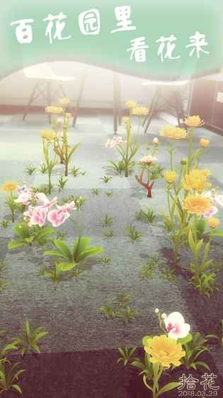 拾花游戲正版地址截圖6