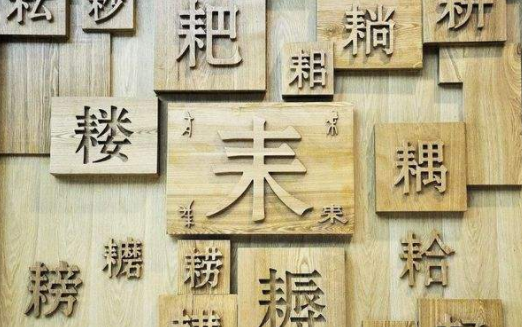 以你之名守護(hù)漢字下載地址在哪里？官方文案詳情推薦
