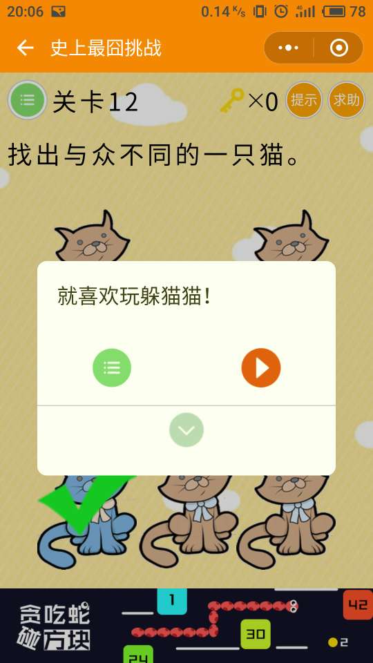 微信史上最囧挑戰(zhàn)第12關(guān)，找出與眾不同的一只貓