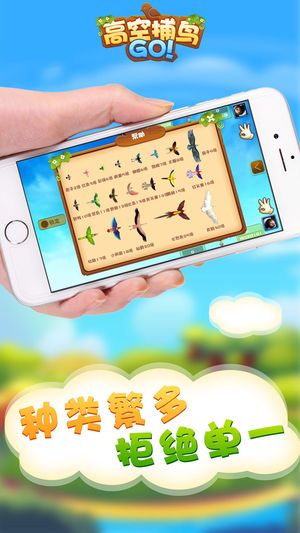 高空捕鳥手機(jī)游戲下載最新版截圖4