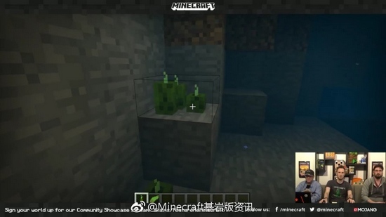 我的世界基巖版