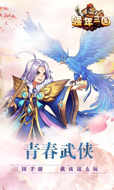 騷年三國BT版滿V公益服截圖2