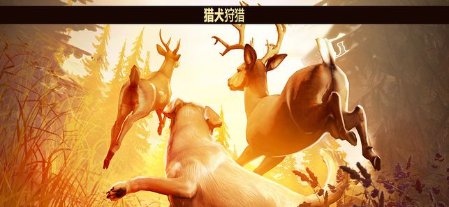 獵鹿人復(fù)刻版免費(fèi)金幣安卓完整數(shù)據(jù)包直裝地址截圖4