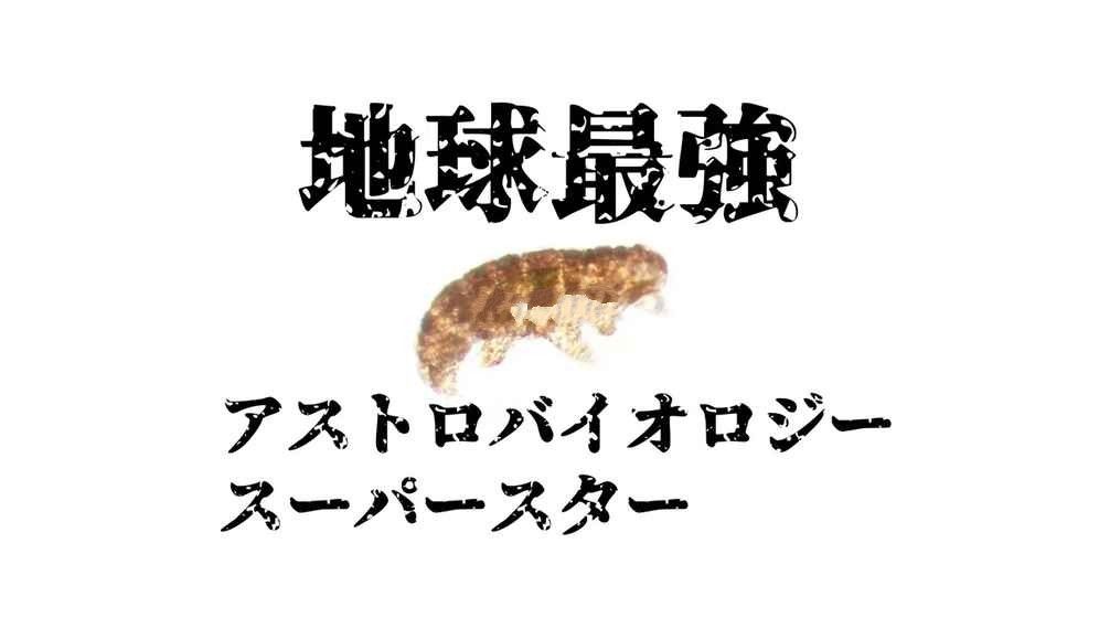 水熊行星中文游戲安卓手機(jī)版截圖4