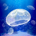 ellyfish Aquarium Free手機游戲下載最新版