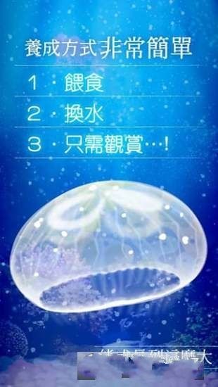 ellyfish Aquarium Free手機游戲下載最新版截圖3