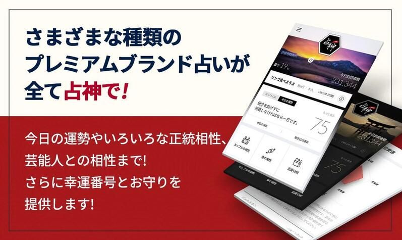 占神占卜中文版游戲下載神棍必備截圖2