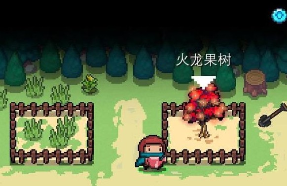 元?dú)怛T士種子多久成熟？種子商店價(jià)格匯總