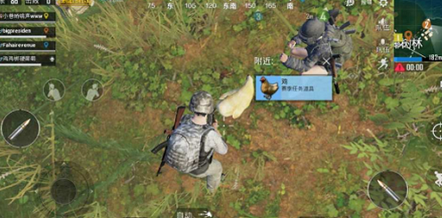 刺激戰(zhàn)場雞會(huì)死嗎？殺死雞的方法