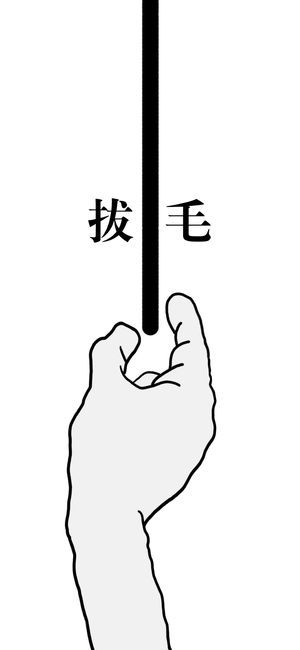 小熙解說拔毛模擬器游戲版下載截圖2