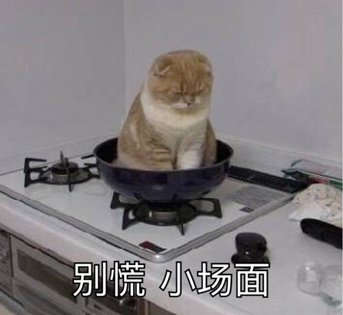 第五人格