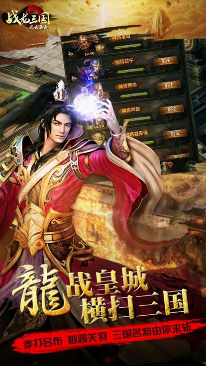 戰(zhàn)龍三國風(fēng)云再起安卓游戲安卓版截圖2