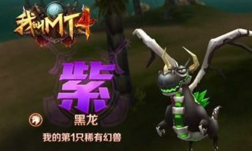 我叫mt4紫色幻獸選什么？紫色幻獸搭配推薦