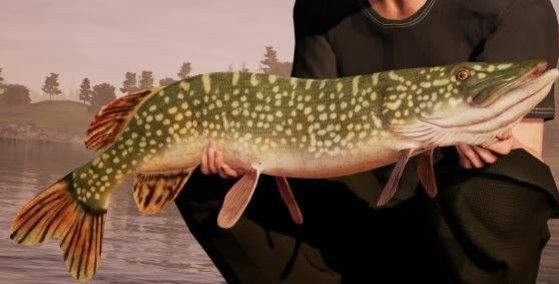 釣魚模擬世界中文漢化版游戲（Fishing Sim World）截圖2