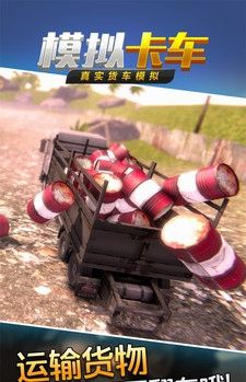 翻斗車模擬駕駛游戲安卓版下載截圖4