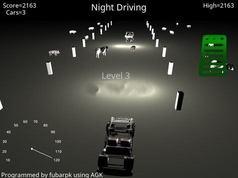 我的夜間駕駛游戲安卓版（My Night Driving）截圖1