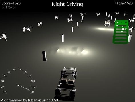 我的夜間駕駛游戲安卓版（My Night Driving）截圖3