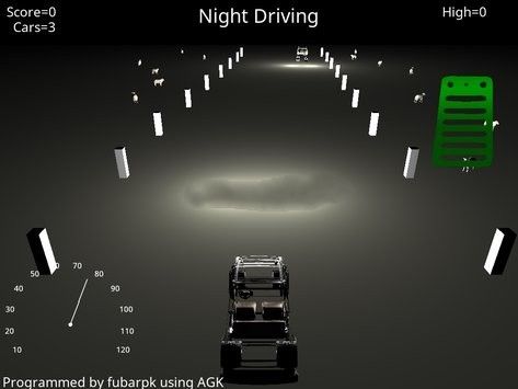 我的夜間駕駛游戲安卓版（My Night Driving）截圖4