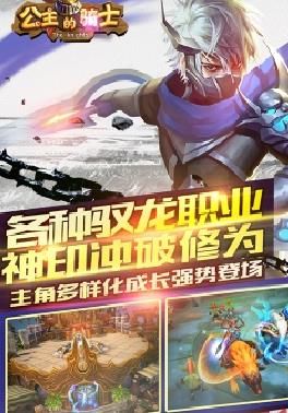公主的騎士BT游戲滿V變態(tài)版截圖3