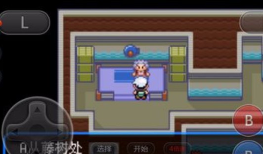 口袋妖怪究極綠寶石II武斗鎮(zhèn)道館攻略：武斗鎮(zhèn)道館打法分享