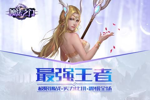 魔法之門online手游安卓最新版截圖1
