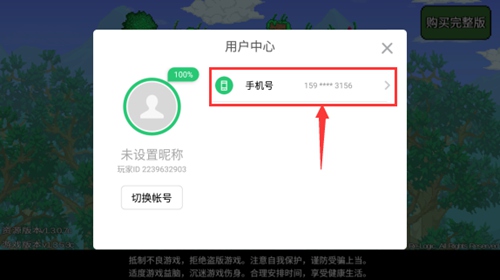 泰拉瑞亞