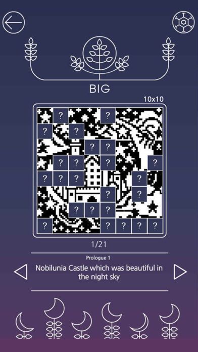 picross luna漢化中文游戲完整攻略安卓版截圖3