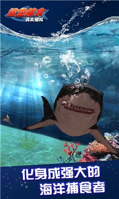 真實(shí)模擬鯊魚捕食游戲網(wǎng)戰(zhàn)下載最新正版截圖1
