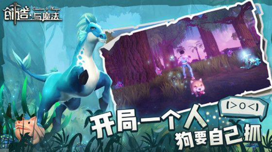 創(chuàng)造與魔法坐騎速度排行榜：坐騎速度表一覽