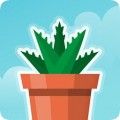 悠哉悠哉植物園中文漢化版游戲(Terrarium)