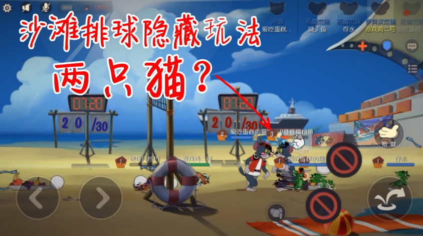 貓和老鼠：沙灘排球之隱藏玩法！兩只貓互相摔跤，太魔性了！