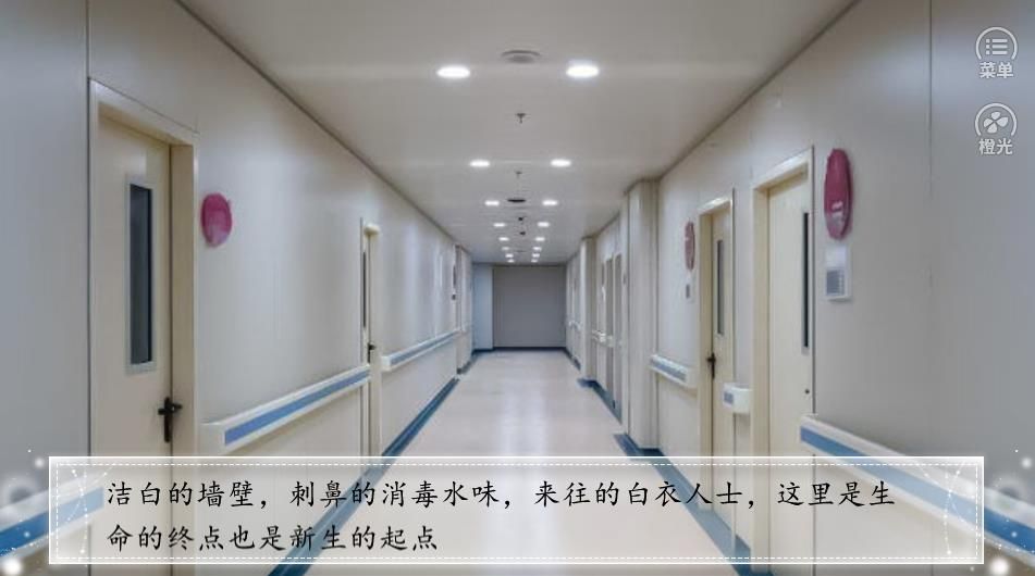橙光遍地都是妖精無(wú)限花金手指中文版截圖4