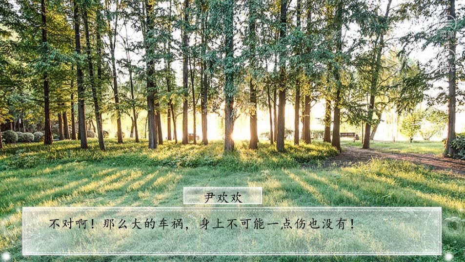 橙光遍地都是妖精無(wú)限花金手指中文版截圖3